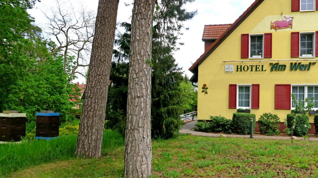 Hotel "Am Werl" Bad Saarow Exterior foto
